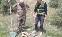 Elazığ’da salep soğanı toplayan 8 kişiye 3 milyon 100 bin lira ceza