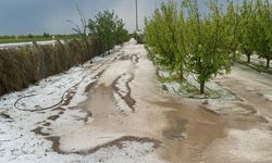 Karaman’da dolu ve sel 100 bin dekar ekili alanda zarara yol açtı
