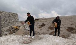 Karla kaplı Nemrut’taki yabani hayvanlar unutulmadı