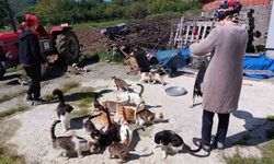 Sahiplendikleri 40 kedi ve 8 köpeğe el işi yaparak bakıyorlar