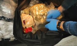 Samsun’da 7,5 kilo skunk 80 gram kokain ele geçirildi: 2 gözaltı