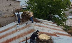 Tunceli’de örnek davranış: Hasarlı binaların çatılarındaki leylek yuvaları güvenli yere taşındı