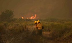 ABD’de orman yangını: 14 bin 625 dönümlük alan yandı
