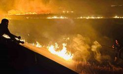 Cizre’de anız yangını ekili alanlara ulaşmadan söndürüldü