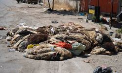Gaziantep’te mide bulandıran görüntüler