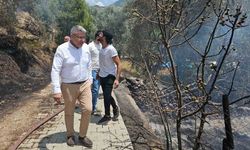 Başkan Güler yangın bölgesinde incelemelerde bulundu
