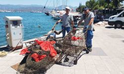Fethiye’de deniz temizliği: Denizden market arabası çıktı