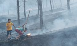 Gaziantep’te çıkan anız yangını ormana yayılmadan kontrol altına alındı