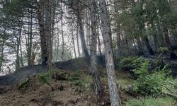 Kastamonu’da düşen yıldırım orman yangınlarına sebep oldu