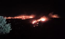 Mardin’de gece saatlerinde korkutan yangın kontrol altına alındı