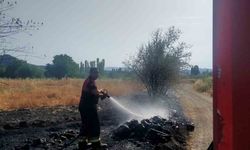 Osmancık’taki örtü yangınında ağaçlar zarar gördü