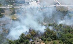 Sakarya’da çıkan orman yangını havadan görüntülendi