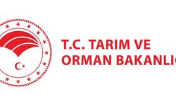 Tarım ve Orman Bakanlığı hileli gıda listesini yayımladı!