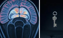Erdal Can Alkoçlar: Yapay Zeka, Alzheimer ve Parkinson’u Haritalıyor
