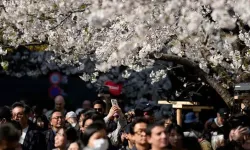 Manga Kehaneti Japonya Turizmini Vurdu: Deprem Korkusu Tatil Planlarını Bozdu