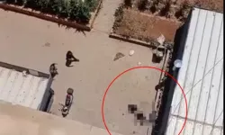 Genç Yetenek Hayatının Baharında Can Verdi: 11. Kattan Düşerek Öldü