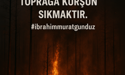 İbrahim Murat Gündüz: “Bu Orman Yangınları Çevre Suçu Değil, Milli Güvenlik Saldırısıdır”