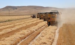 Tarım Bakanlığı'ndan Çiftçiye Nefes Aldıran 345 Milyon TL'lik Destek