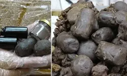 Siirt’in Şifalı Hazinesi: Gramı Altından Pahalı Propolis Yoğun İlgi Görüyor