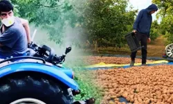 Ünlü Oyuncudan Doğaya Dönüş: Burak Hakkı’nın Ceviz Bahçesi İlk Hasadını Verdi