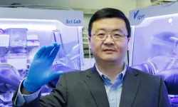 Şeffaf Enerjide Yeni Dönem: Hong Konglu Bilim İnsanları Yarı Saydam Güneş Panelinde Rekor Kırdı