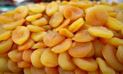 Malatya’nın “Altın Mişmişi” Dünya Sofralarını Tatlandırıyor: 47 Yılda 8 Milyar Dolarlık Başarı Hikayesi