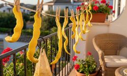 Doğal Bir Malzeme ile Balkonda Böcek Sorununa Kolay Çözüm