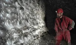 Karanlığın Kalbinde Dev Keşif: 111 Bin Örümcek Aynı Ağda Yaşam Sürüyor