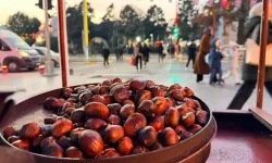 Kestane Fiyatları Arttı: Erzincan Sokaklarını Saran Koku Vatandaşı Tezgâhlara Çekiyor