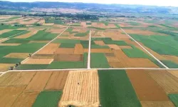 Toprağa Yatırım Yapan Kaybetti: Arsa ve Tarla Getirisi Hayal Kırıklığı Yarattı