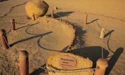 Çölün Kalbindeki Deniz: Mısır’daki Balina Vadisi, Zamanın Sessiz Tanığı