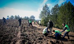 Uludağ’ın Eteklerinde Yeni Ekonomik Nefes: Keles’te Bal Ormanı Üretime Hazır
