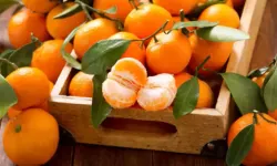 Ekşi Mandalinaları Kısa Sürede Tatlandıran Basit Ev Yöntemi