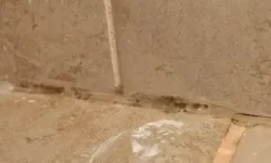 Evdeki Silikon Kararmalarına Doğal ve Etkili Çözüm Yöntemleri