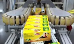 Lipton’un Karadeniz’deki Üretim Hamlesi El Değiştirdi: Çay Sektöründe Yeni Dönem