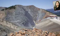 Sinop’ta Bakır Madeni Alarmı: Boyabat’ta Yüz Binlerce Ağaç İçin Kritik Süreç