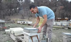 Türkiye’nin Dört Bir Yanına Uzanan Arıcılık Başarısı: Bir Kovandan 200 Koloniye