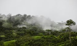Amazon’da İklim Dengesi Kırılıyor: Yağmur Ormanları Eşi Görülmemiş Bir Döneme Giriyor
