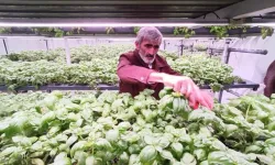 Türkiye’nin Tarım Vizyonunu Değiştiren Yatırım: Batman’da Üç Katlı Dikey Sera Üretime Başladı