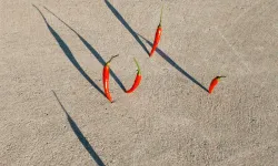 Bağışıklığı Güçlendiren A Vitamini Kaynakları Gündemde: Uzmanlar Doğal Beslenme Uyarısı Yapıyor