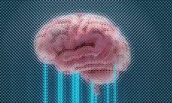 Beyni Koruyan Beslenme: Uzmanların Uzak Durduğu Gıdalar Listesi