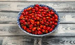 Anadolu’nun Şifalı Kırmızıları: Karamuk Meyvesi Mercek Altında