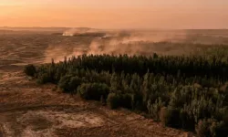Kuraklığı Artıran Ağaçlandırma: Çin’in Yeşil Politikası Su Krizine Dönüştü