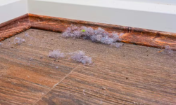 Süpürgeliklerde Toz Derdine Son: Uzmanlardan Evdeki Malzemeyle Kalıcı Çözüm