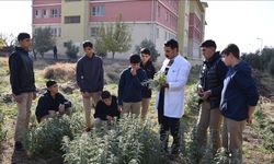 Şanlıurfa’da Genç Çiftçiler Yetişiyor: Öğrenciler Alternatif Tarımın Öncüsü Oluyor