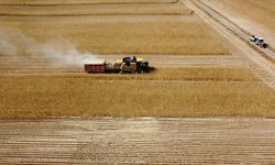 Tarımda Dev Destek: Milyarlarca Lira Çiftçinin Hesabına Aktarıldı