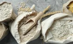 Pestisit Uyarısı: Popüler Tip 405 Unlarda Beklenmedik Kalıntılar Ortaya Çıktı