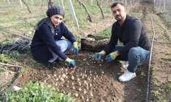 Tekstilden Toprağa Uzanan Yol: Adanalı Girişimci Ak Zambakla Dünyaya Açılıyor