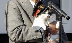 Pati İzi Bırakan Görev: Japon Demiryollarında Kedi Şefler Geleneği Sürüyor