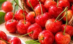 Japonya’da Bir Kiraz Altın Değerine Ulaştı: İlk Hasatta Tarihi Satış